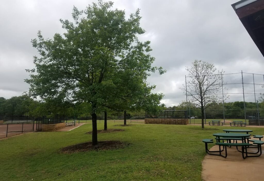 Thumbnail-For- Rollingwood Park-By-EZ Flow Plumbing