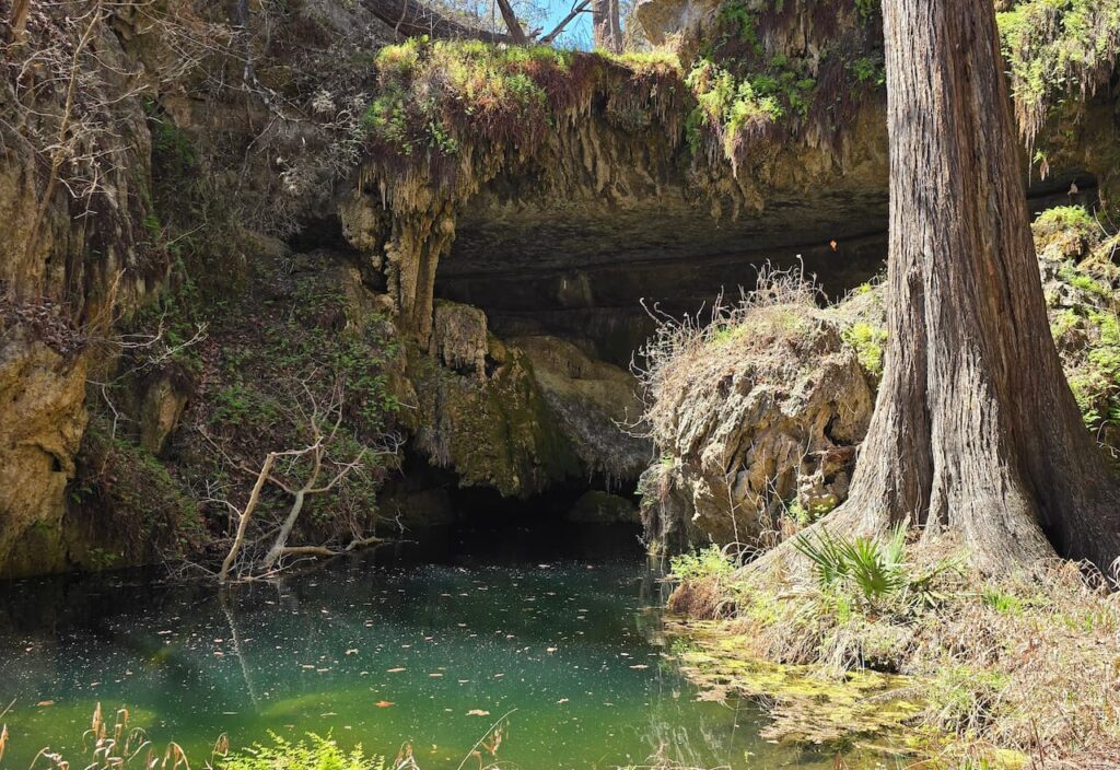 Thumbnail-For-Wild Basin Wilderness Preserve.-In West Lake Hills-By-EZ Flow Plumbing